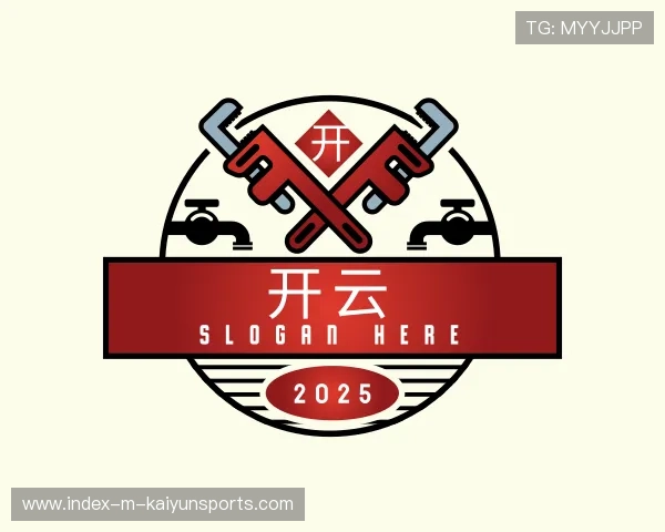 发现开云体育APP世界杯版